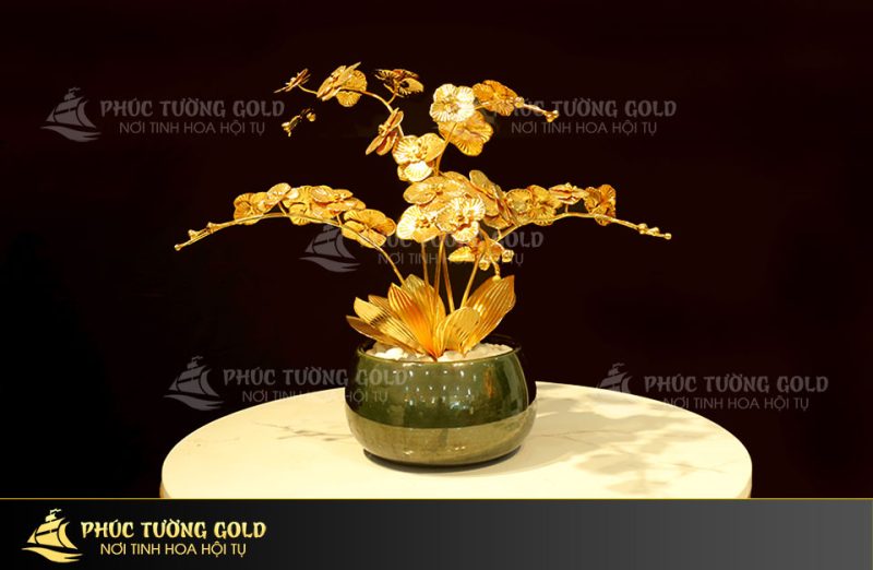 Chậu cây hoa lan, món quà mừng thọ tinh tế, thể hiện sự cao quý, thánh thiện của người nhận - phuctuonggold-com