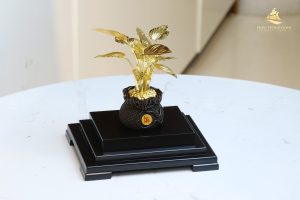 Cây cảnh bonsai mạ vàng