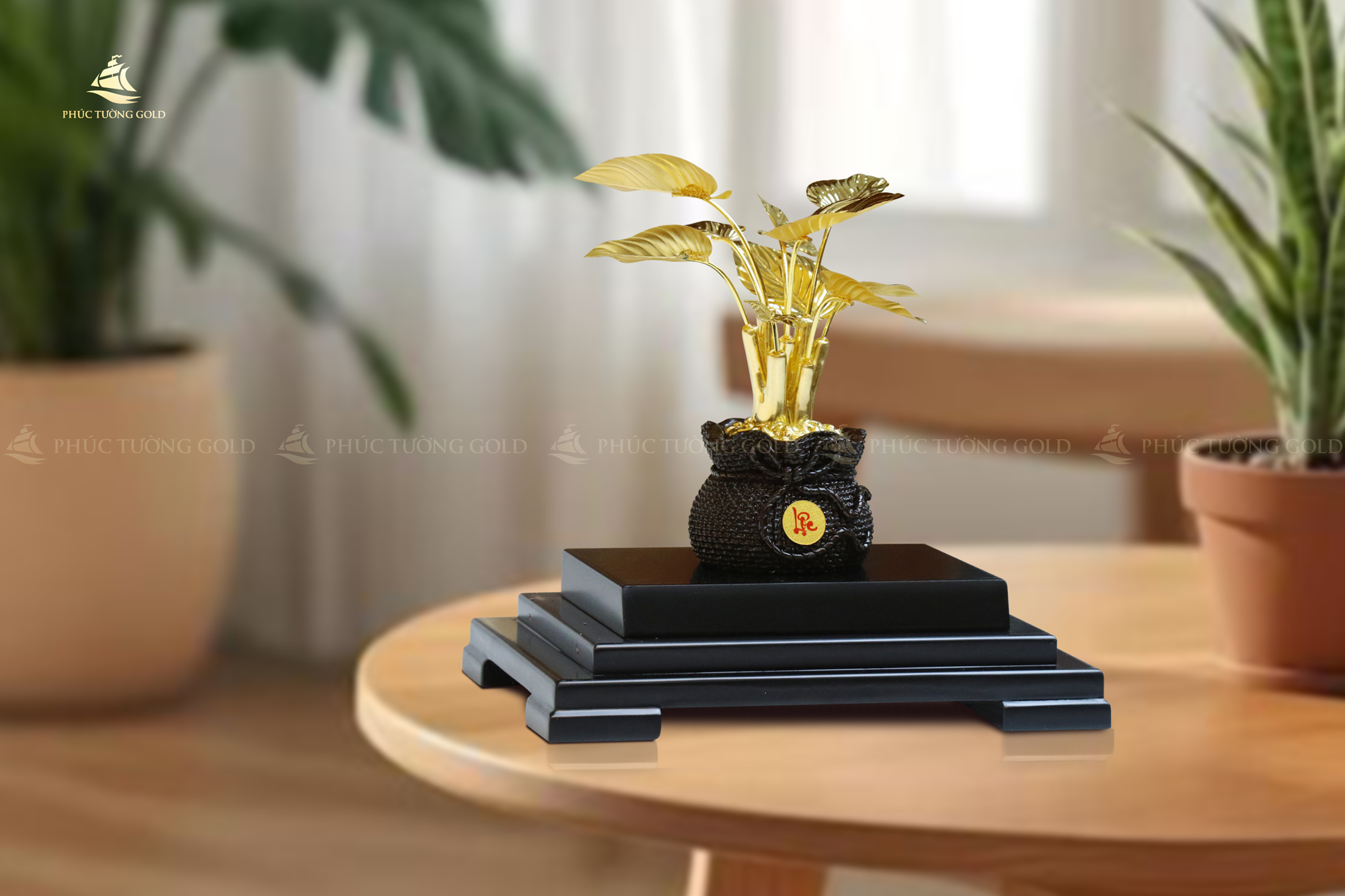 pq01