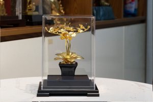 Chậu cây hoa lan mạ vàng 24k - HL05