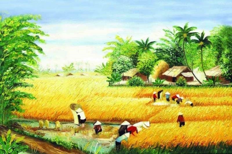 Tranh mua màng bội thu