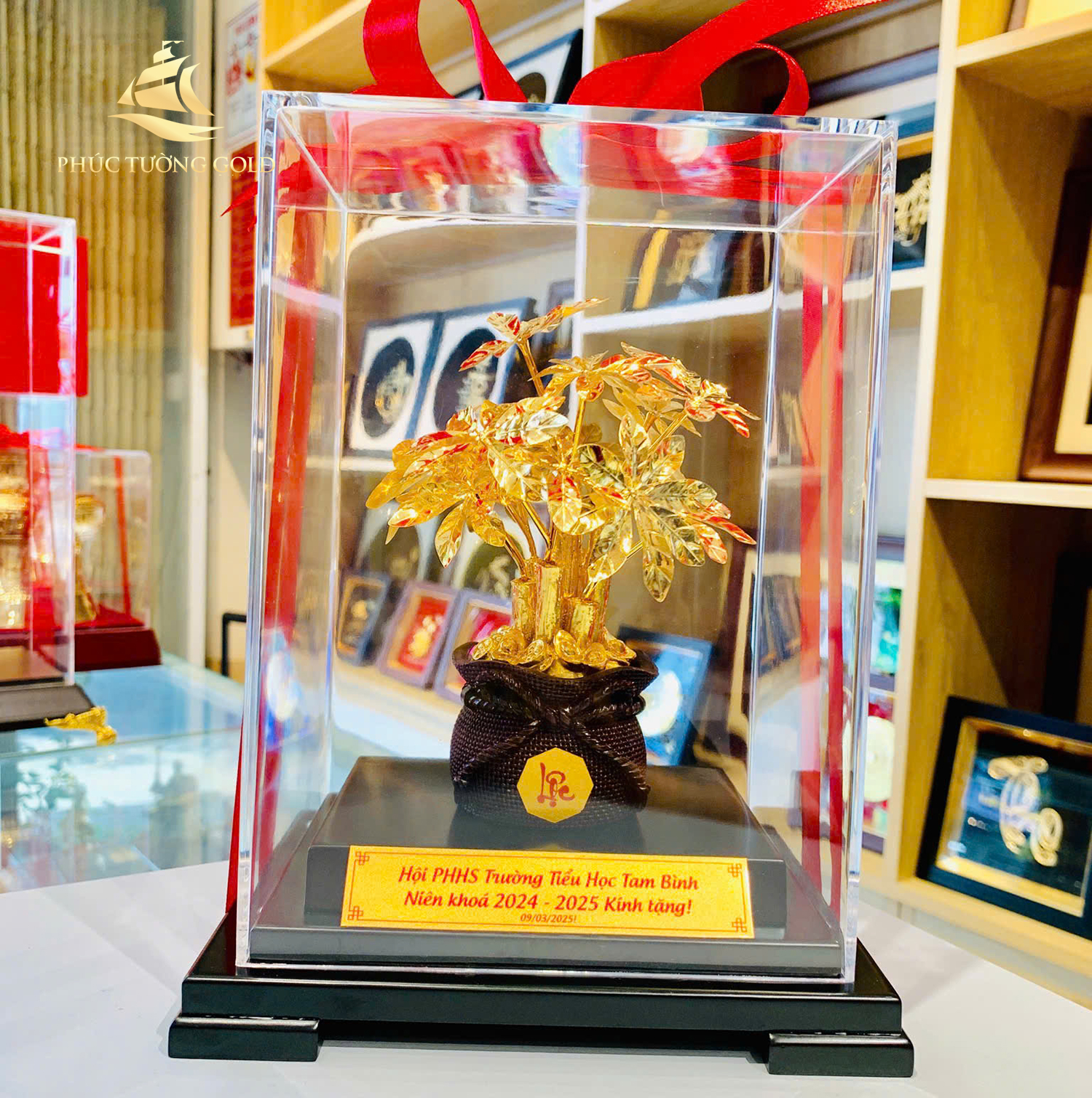 Hội-PHHS-trường-tiểu-học-Tam-Bình-tặng-chậu-kim-ngân-cho-thầy-cô-nhà-trường