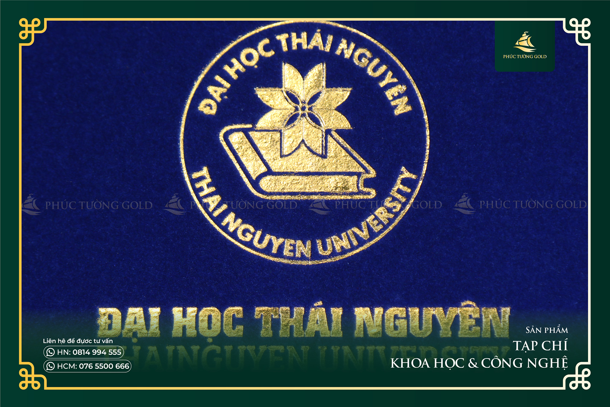 Tranh-đồng-mạ-vàng-thiết-kế-riêng-cho-Đại-học-Thái-Nguyên-6